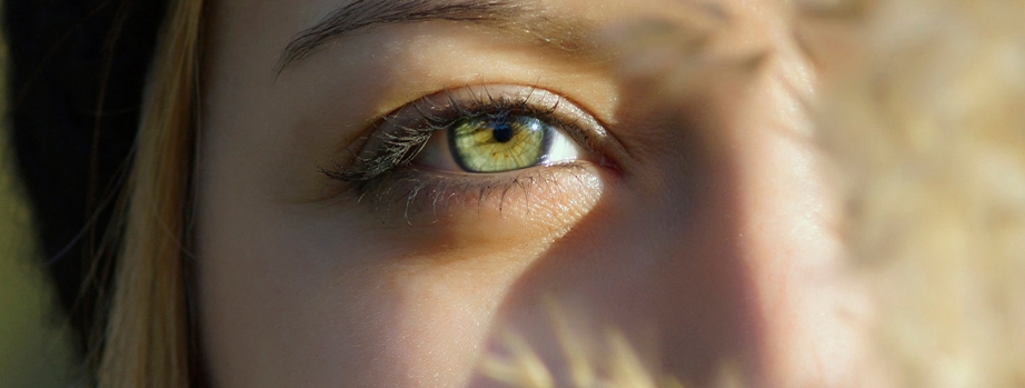 VISION SCIENCE RESEARCH PROGRAM