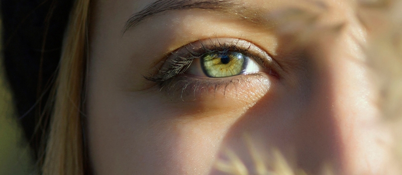 VISION SCIENCE RESEARCH PROGRAM