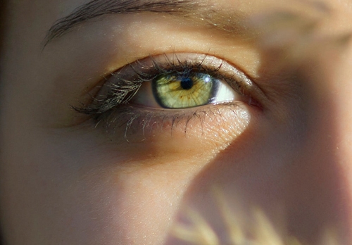 VISION SCIENCE RESEARCH PROGRAM