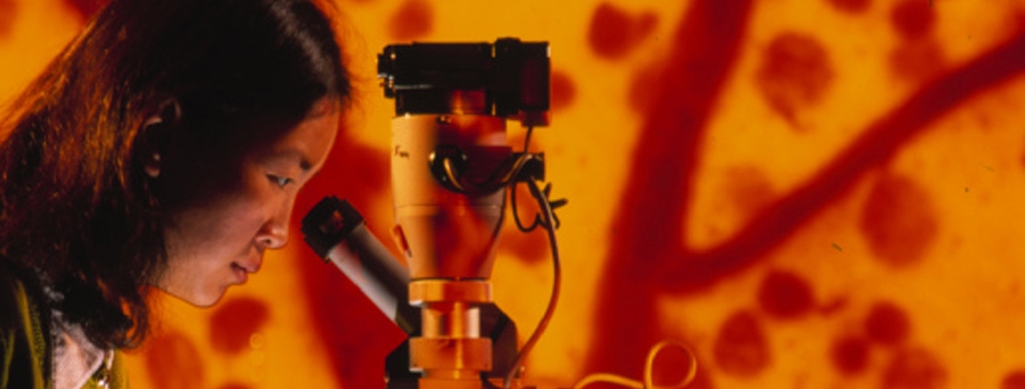 VISION SCIENCE RESEARCH PROGRAM
