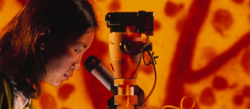 VISION SCIENCE RESEARCH PROGRAM