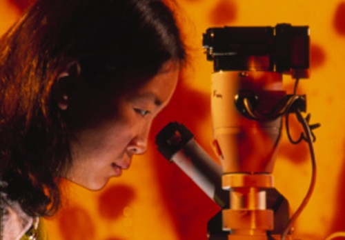 VISION SCIENCE RESEARCH PROGRAM